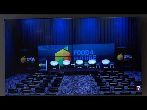 Zonas de Picnic en Pasaia: Gu&iacute;a Completa
