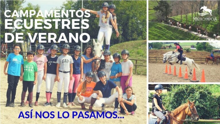 Centros de Equitación Cerca de Pasaia