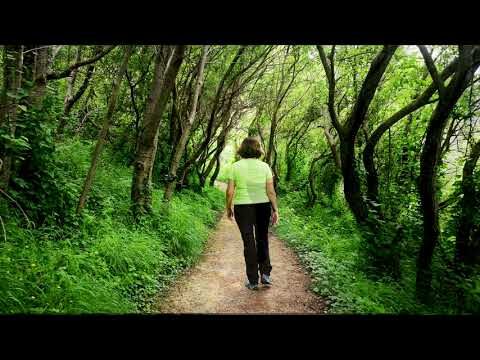 Rutas de montaña desde Hondarribia: explorando la naturaleza cercana