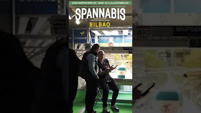 Ferias Artesanales en Irun: Descubre lo Mejor