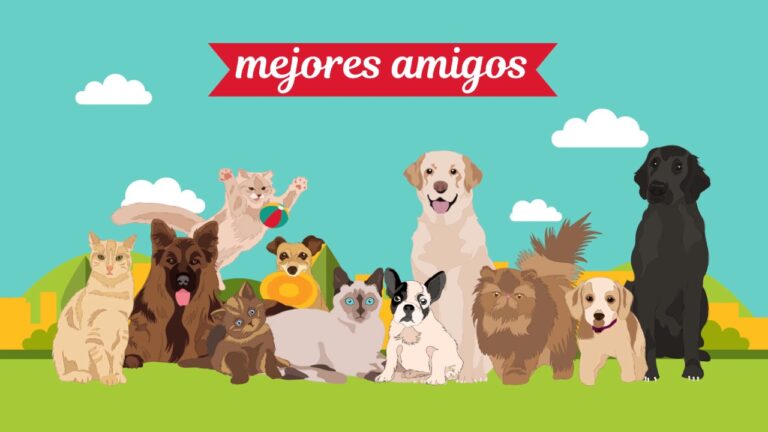 Guía para Actuar en Emergencias Médicas en Oiartzun